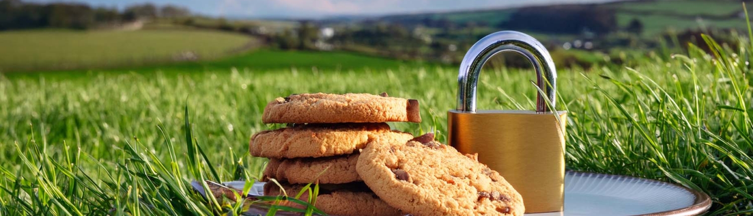 Privacy and Cookies